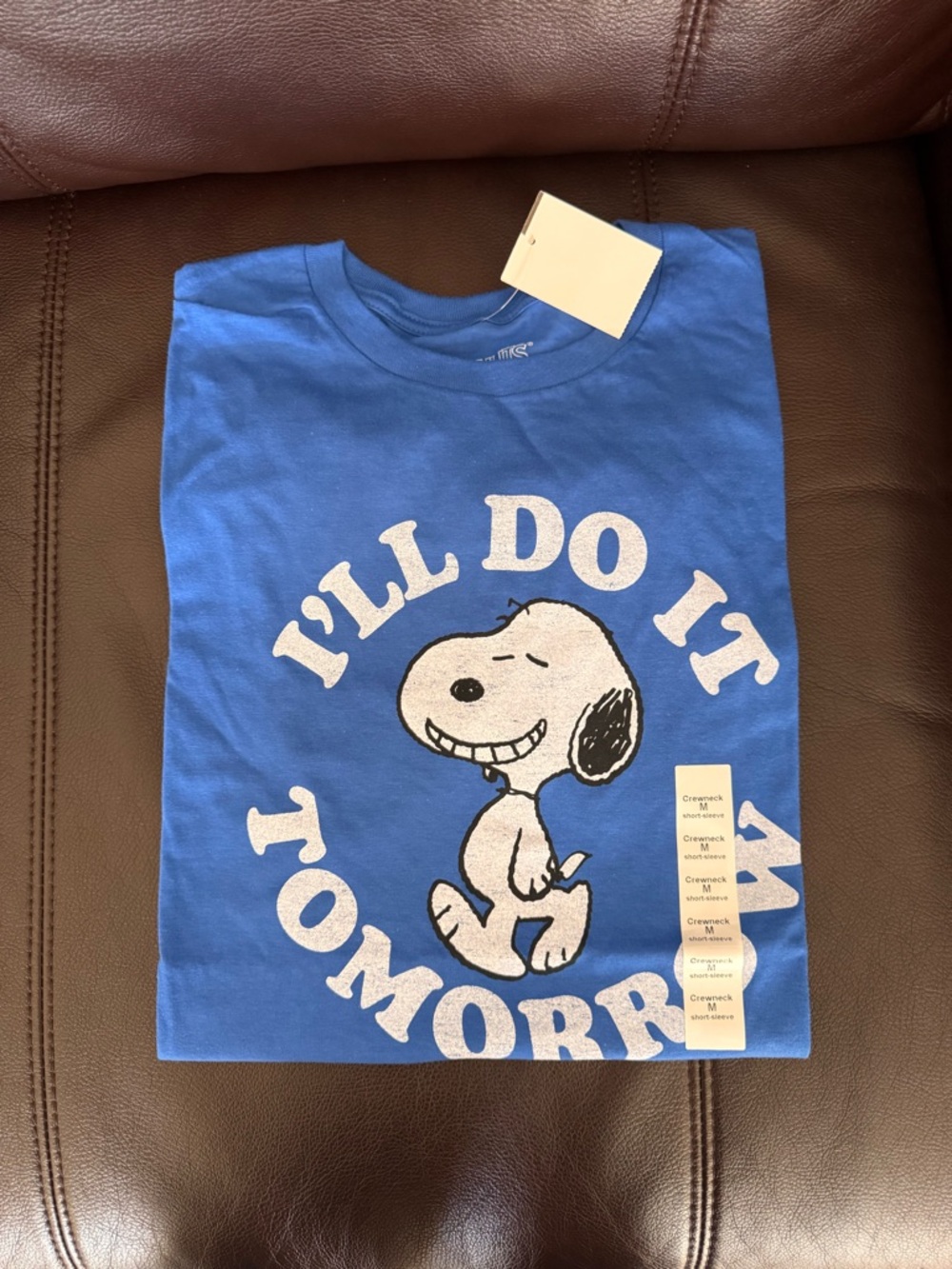 Blue Mens Snoopy Peanuts Graphic Tee - I’ll Do It Tomorrow. Size Medium NWT